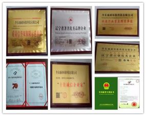 健康为本，科技引领 盛研科技王世盛打造负离子环保新格局