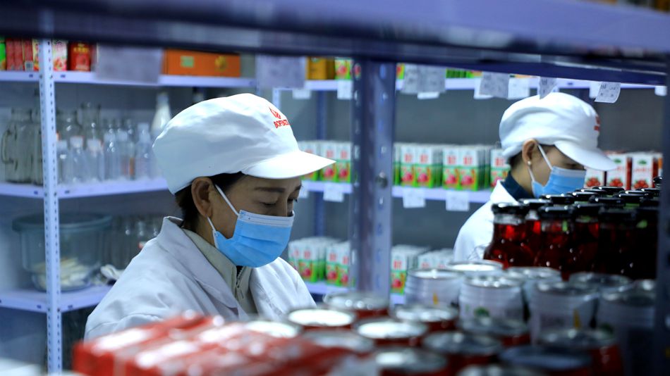 华盛农业 以科技创新为钥，开启绿色健康新篇章